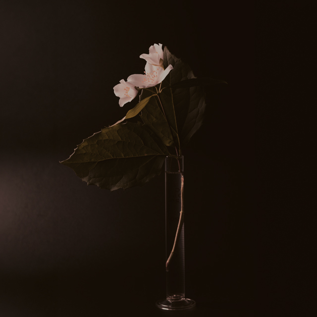 When All Things Were Divine